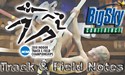 NCAA Indoor Logo