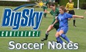 2010_SoccerNotes